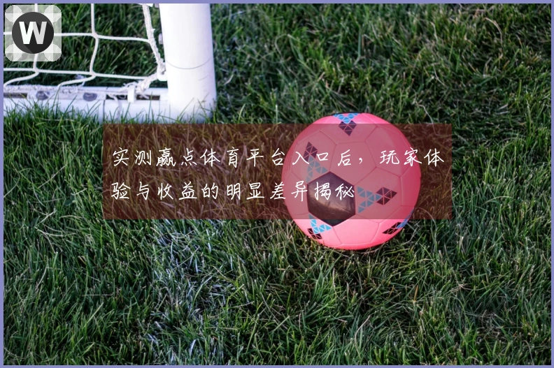 实测赢点体育平台入口后，玩家体验与收益的明显差异揭秘