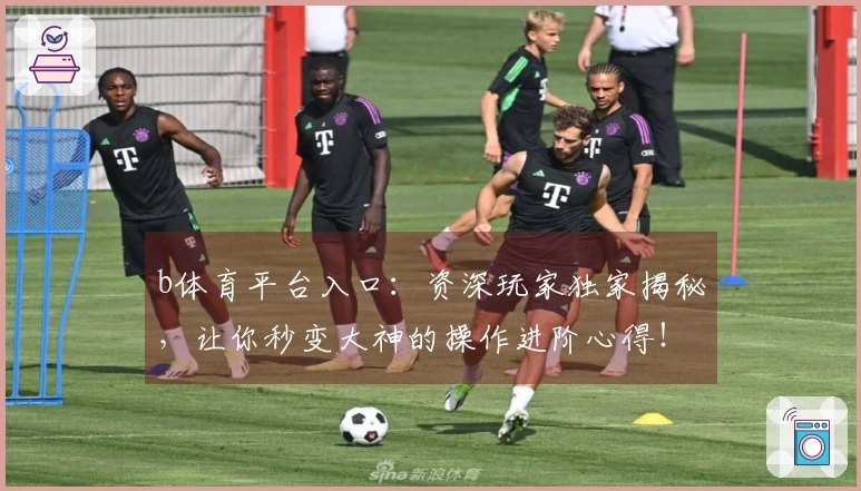 b体育平台入口：资深玩家独家揭秘，让你秒变大神的操作进阶心得！